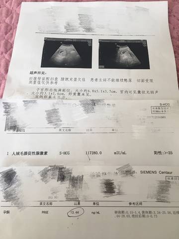 journal_insert_pic_900634153