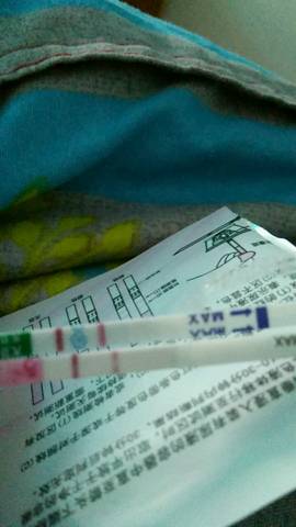 journal_insert_pic_901368029
