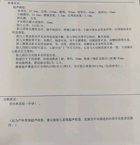 journal_insert_pic_902465160