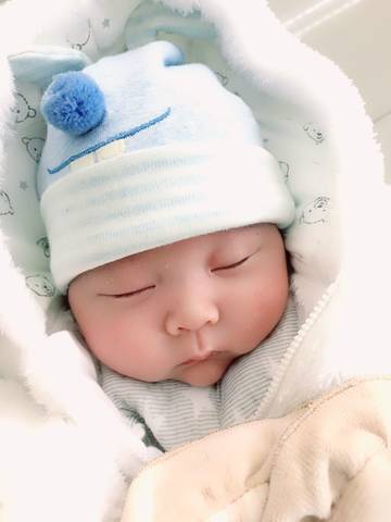 journal_insert_pic_902954363