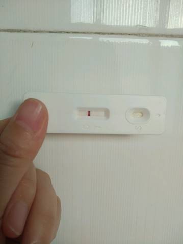 journal_insert_pic_902945892