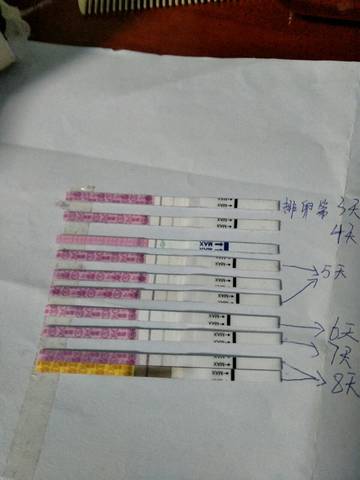 journal_insert_pic_904033562