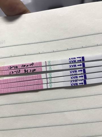 journal_insert_pic_904078034