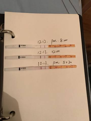 journal_insert_pic_903886977