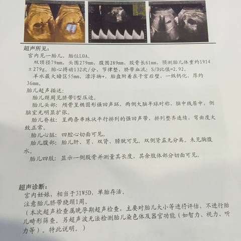 journal_insert_pic_904356813