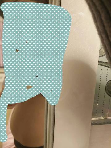 journal_insert_pic_904406671
