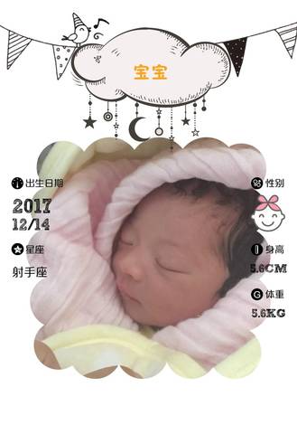 journal_insert_pic_904264835