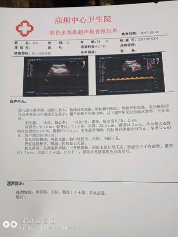 journal_insert_pic_904521795