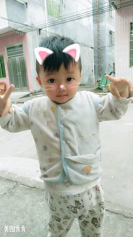 journal_insert_pic_905453651