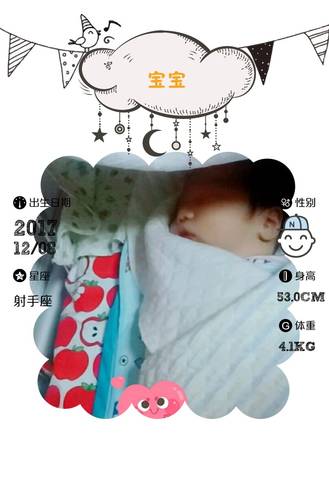 journal_insert_pic_905369126