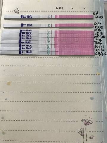 journal_insert_pic_906991856
