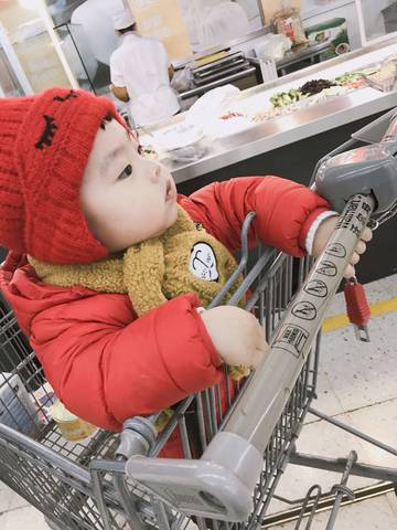 journal_insert_pic_907020854