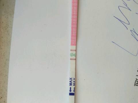 journal_insert_pic_907772750