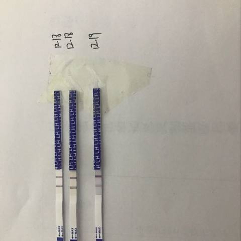 journal_insert_pic_907990147