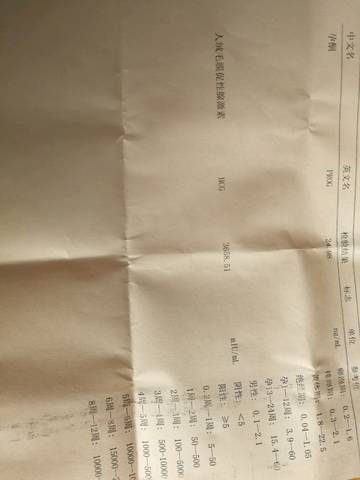 journal_insert_pic_907715707