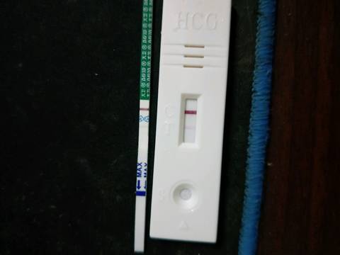 journal_insert_pic_908337544