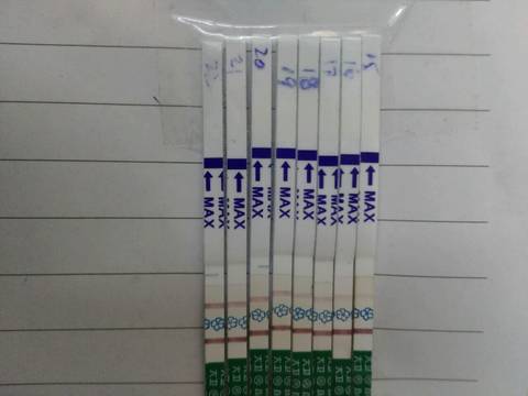 journal_insert_pic_909501105