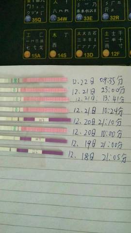 journal_insert_pic_909487110