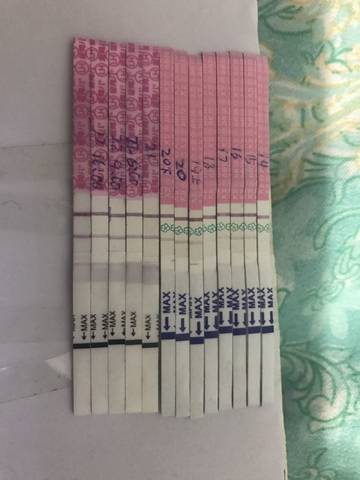 journal_insert_pic_909883714