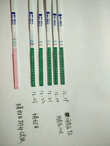 journal_insert_pic_910581286