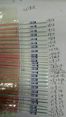 journal_insert_pic_911226260