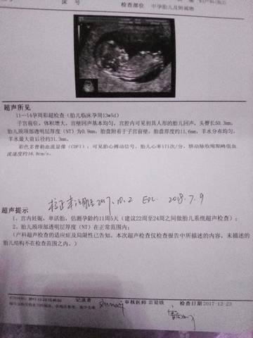 journal_insert_pic_910907529