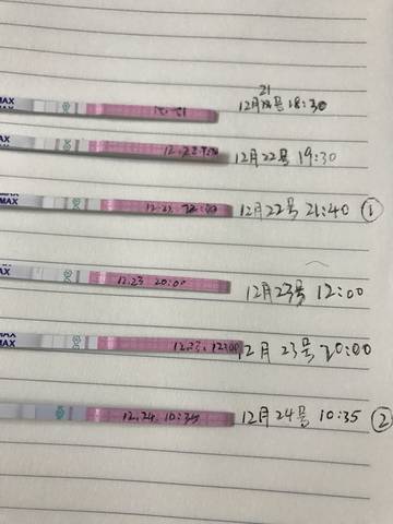 journal_insert_pic_910865114