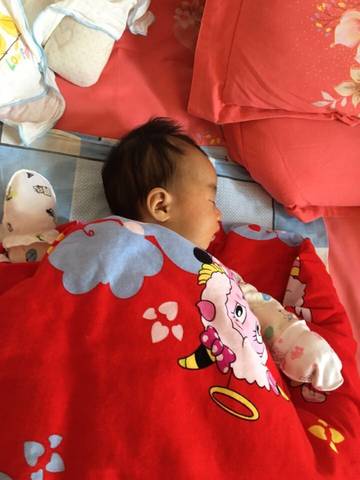 journal_insert_pic_912644684