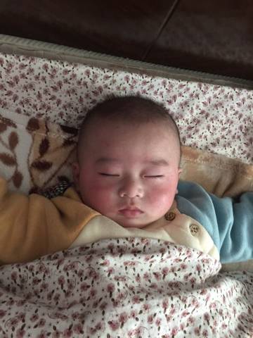 journal_insert_pic_912255719