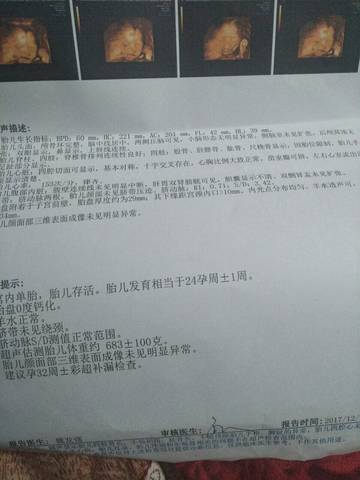 journal_insert_pic_913442091