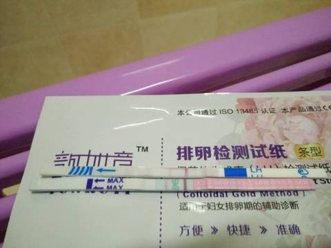 journal_insert_pic_912902269
