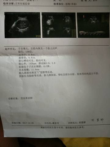 journal_insert_pic_913781218