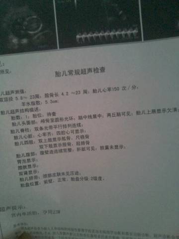 journal_insert_pic_914017979