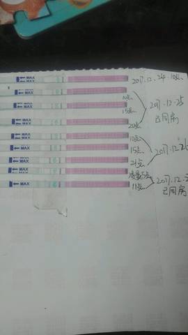 journal_insert_pic_913825840