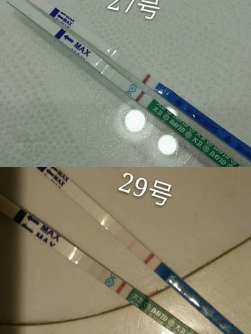 journal_insert_pic_914889626