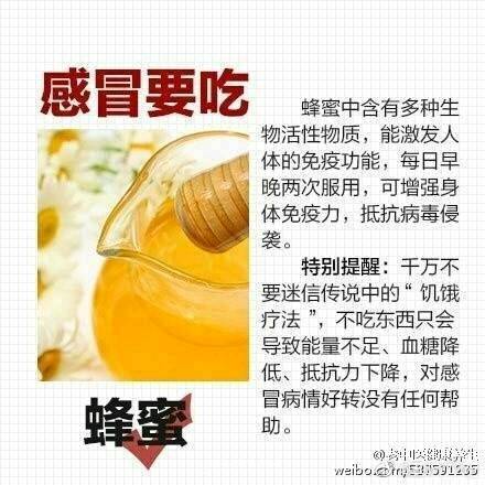 journal_insert_pic_914664950