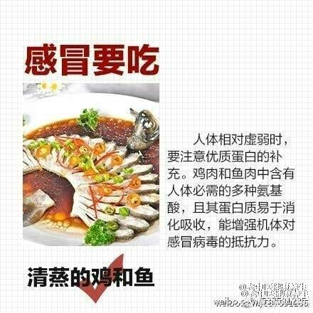journal_insert_pic_914664942