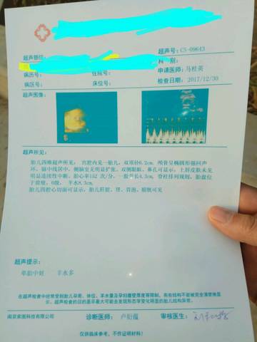 journal_insert_pic_915369383