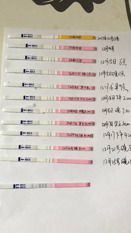 journal_insert_pic_915054888