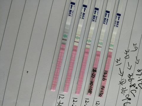 journal_insert_pic_915810687