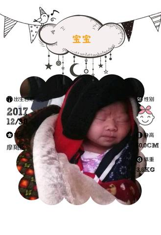journal_insert_pic_915808152