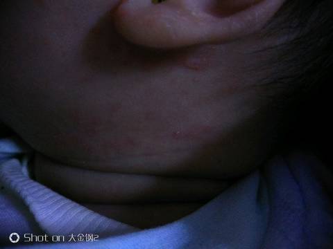 journal_insert_pic_916848745