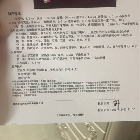 journal_insert_pic_917799375