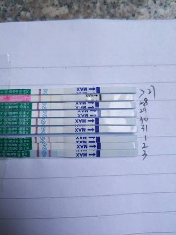 journal_insert_pic_918017519