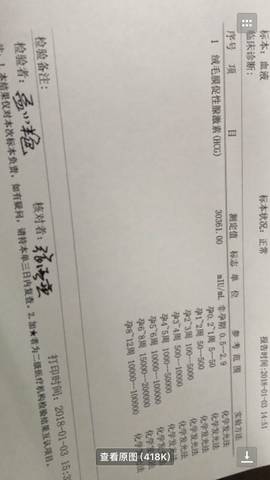journal_insert_pic_918807906