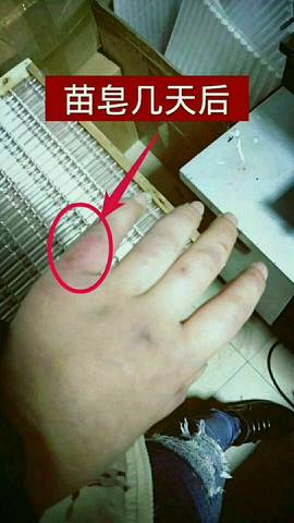 journal_insert_pic_919094911