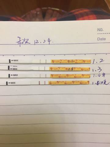 journal_insert_pic_919094363