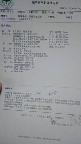 journal_insert_pic_919363423