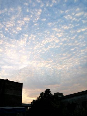 journal_insert_pic_920081860