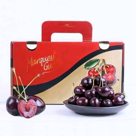 journal_insert_pic_920164413